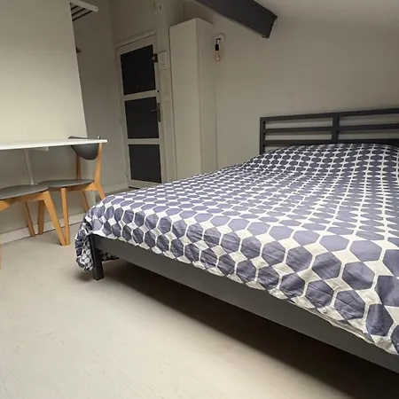 Confort A 50m De La Gare Apartment