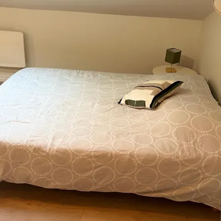 Apartment Confort A 50m De La Gare