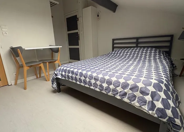 Confort A 50m De La Gare Apartment