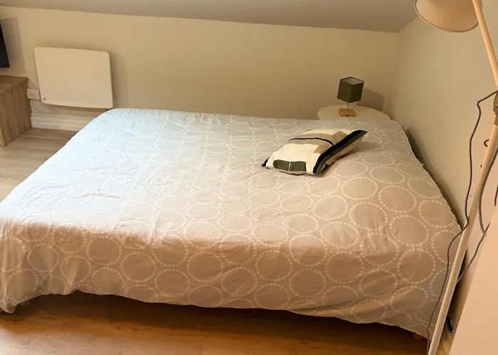 Apartment Confort A 50m De La Gare